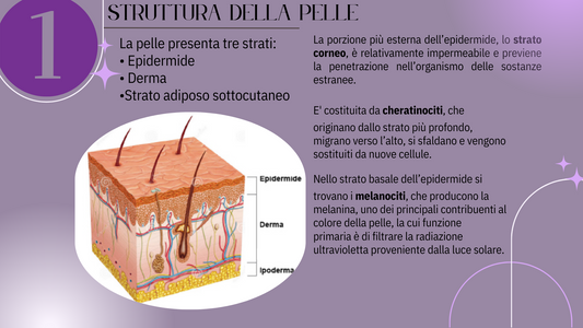 CAP.1 Struttura della pelle